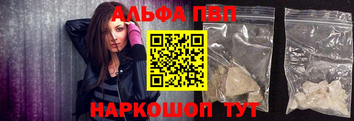 Альфа ПВП СК Каменка