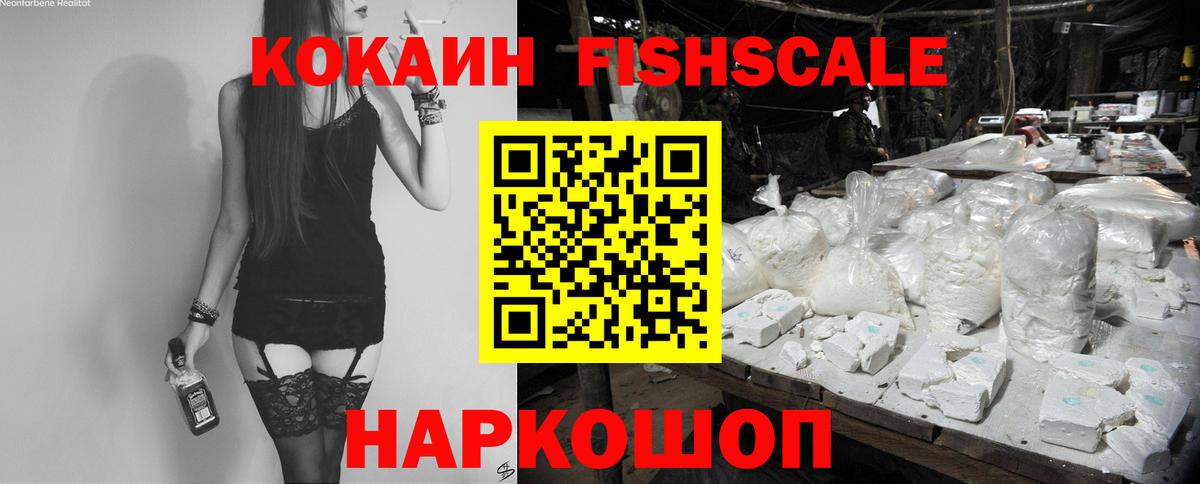 APVP Каменка