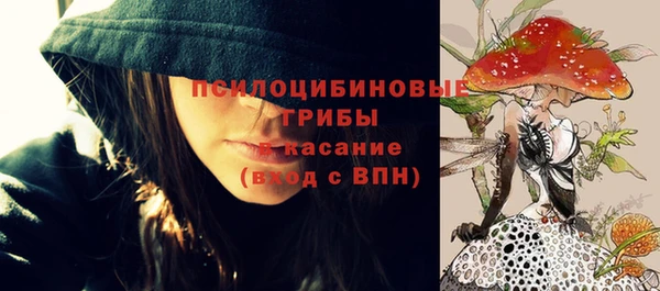 эйфоретик Белая Холуница