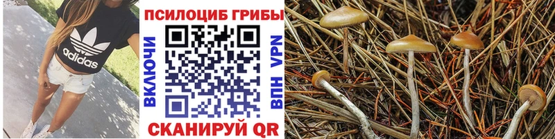 закладка  Каменка  Псилоцибиновые грибы ЛСД 