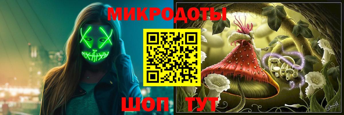 Галлюциногенные грибы MAGIC MUSHROOMS Каменка